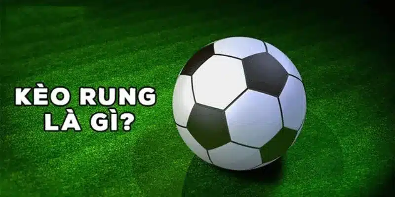 Cược rung là loại hình được rất nhiều người chơi yêu thích